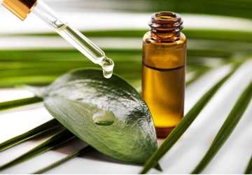 Who Can Benefit from Tea Tree Oil